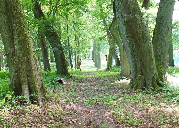 Κατάλυμα σε φάρμα Dwor *